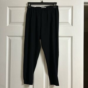NWOT Babaton Pant